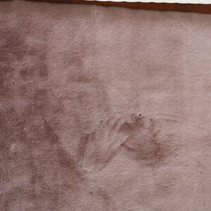 DSC03330_optimized_50